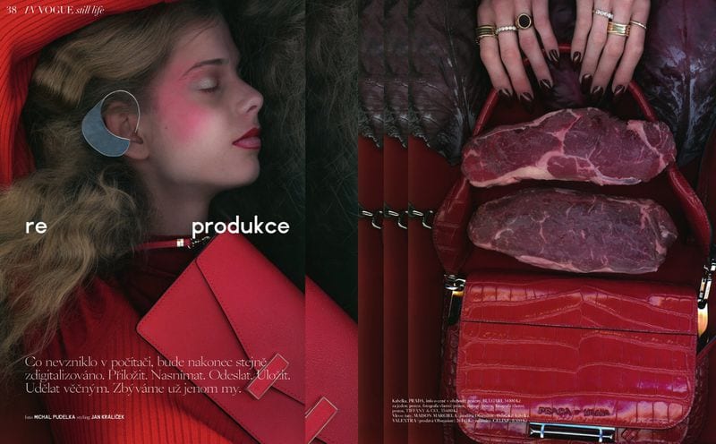 Petra Koubkova — photo 10