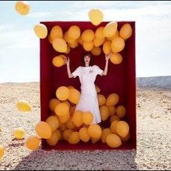 Sophia Linnewedel — photo 3