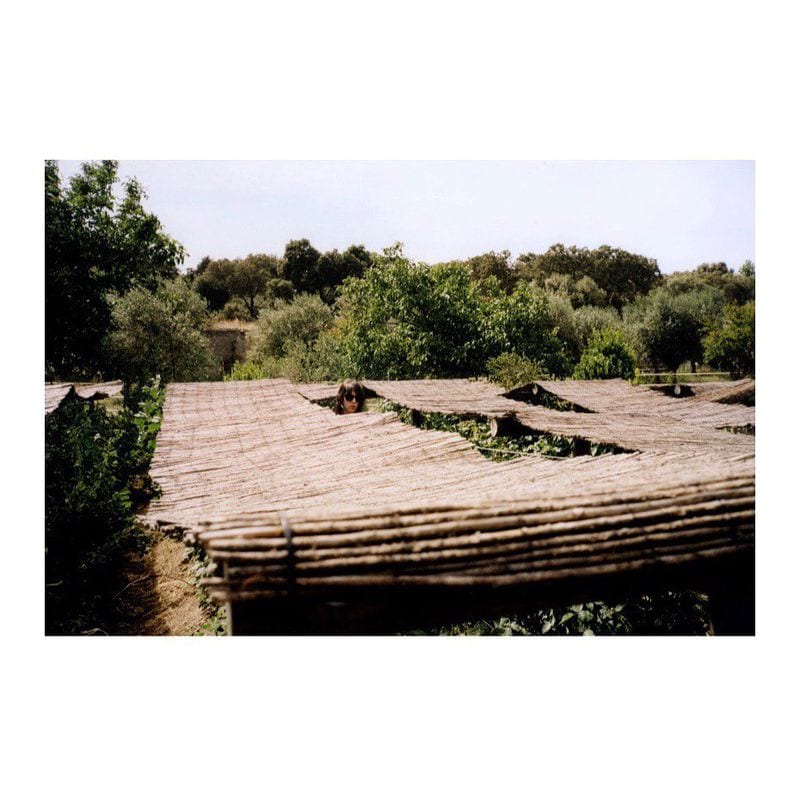 Jamie Bochert — photo 4