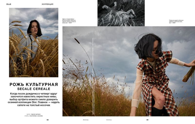 Fedor Bitkov — portfolio 9