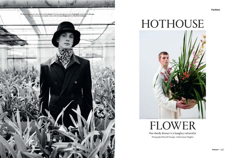 David Steven Wilton — portfolio 4