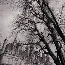 Puck van der Veen — photo 5