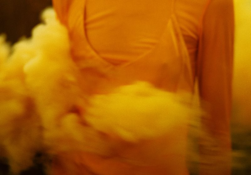 Lida Fox — photo 6