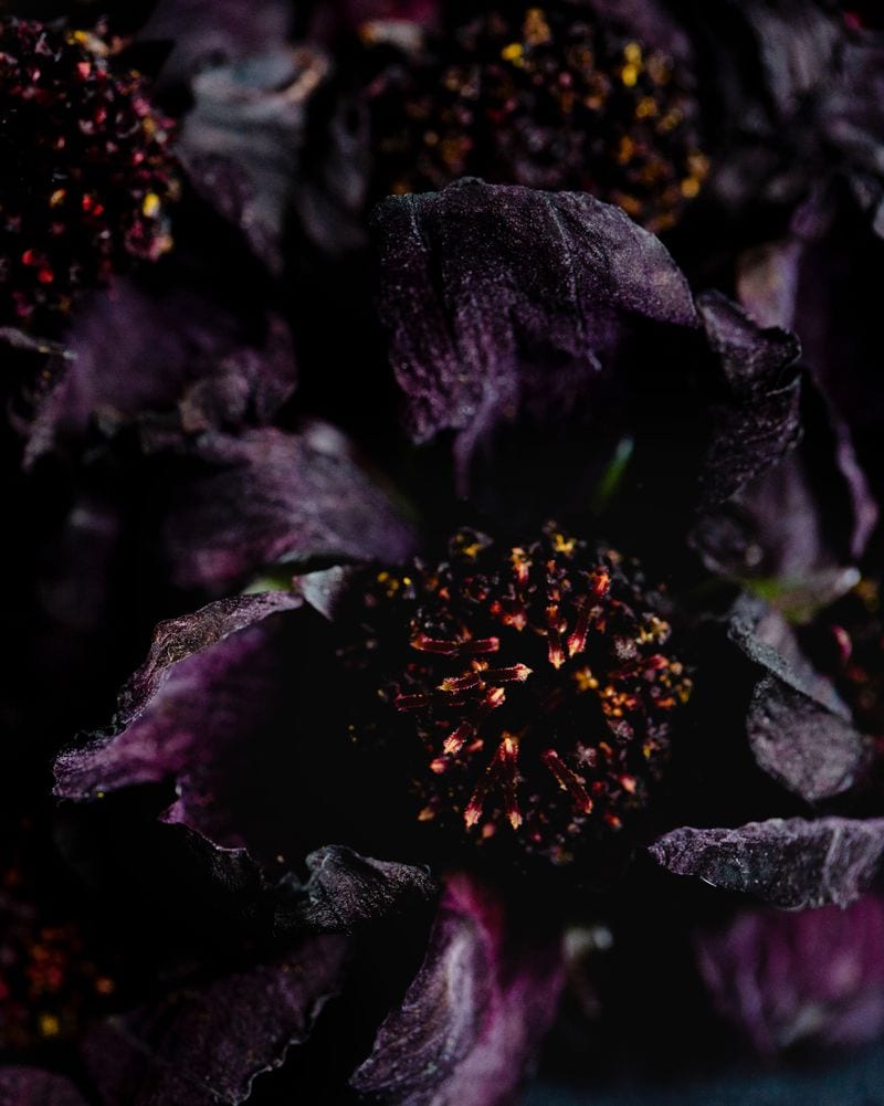 Amie Milne — portfolio 1