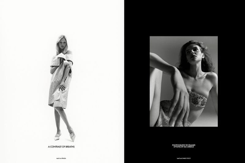 Dani Witt — photo 4