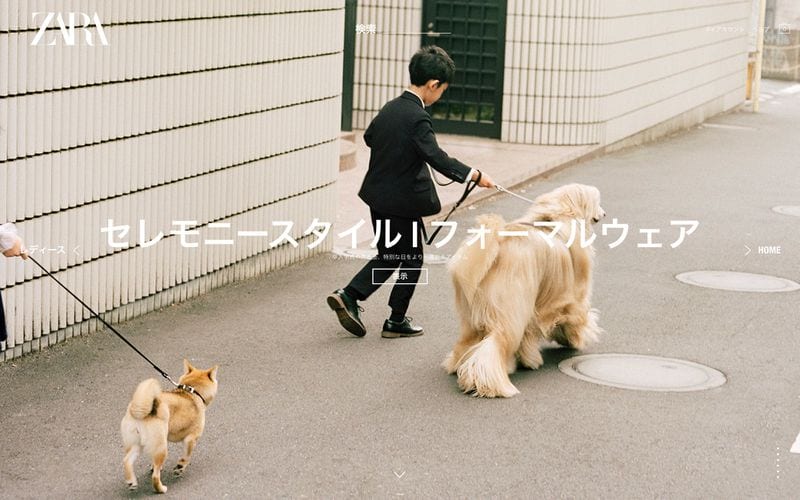 Shino Itoi — portfolio 7