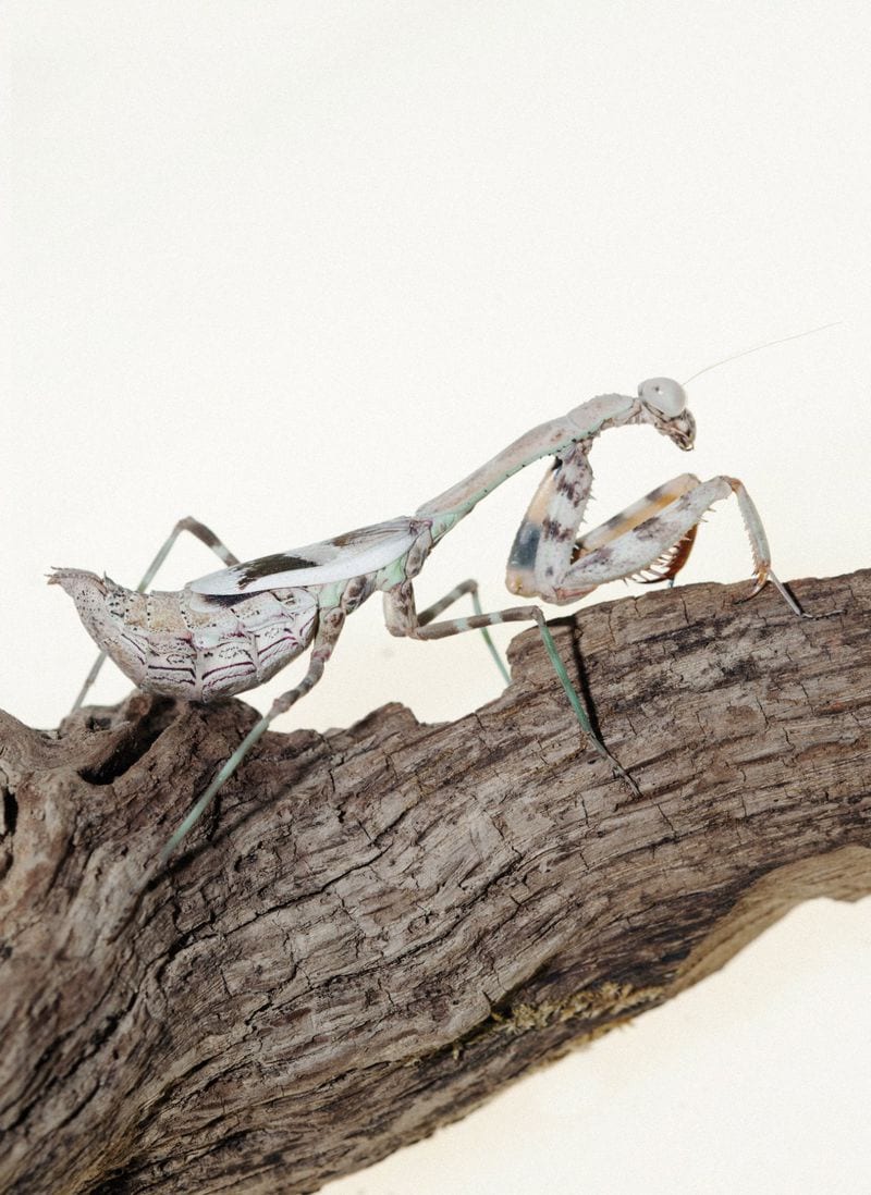 Yosephine Melfi — portfolio 5
