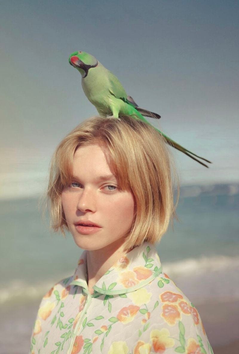 Diana Myuri — photo 2