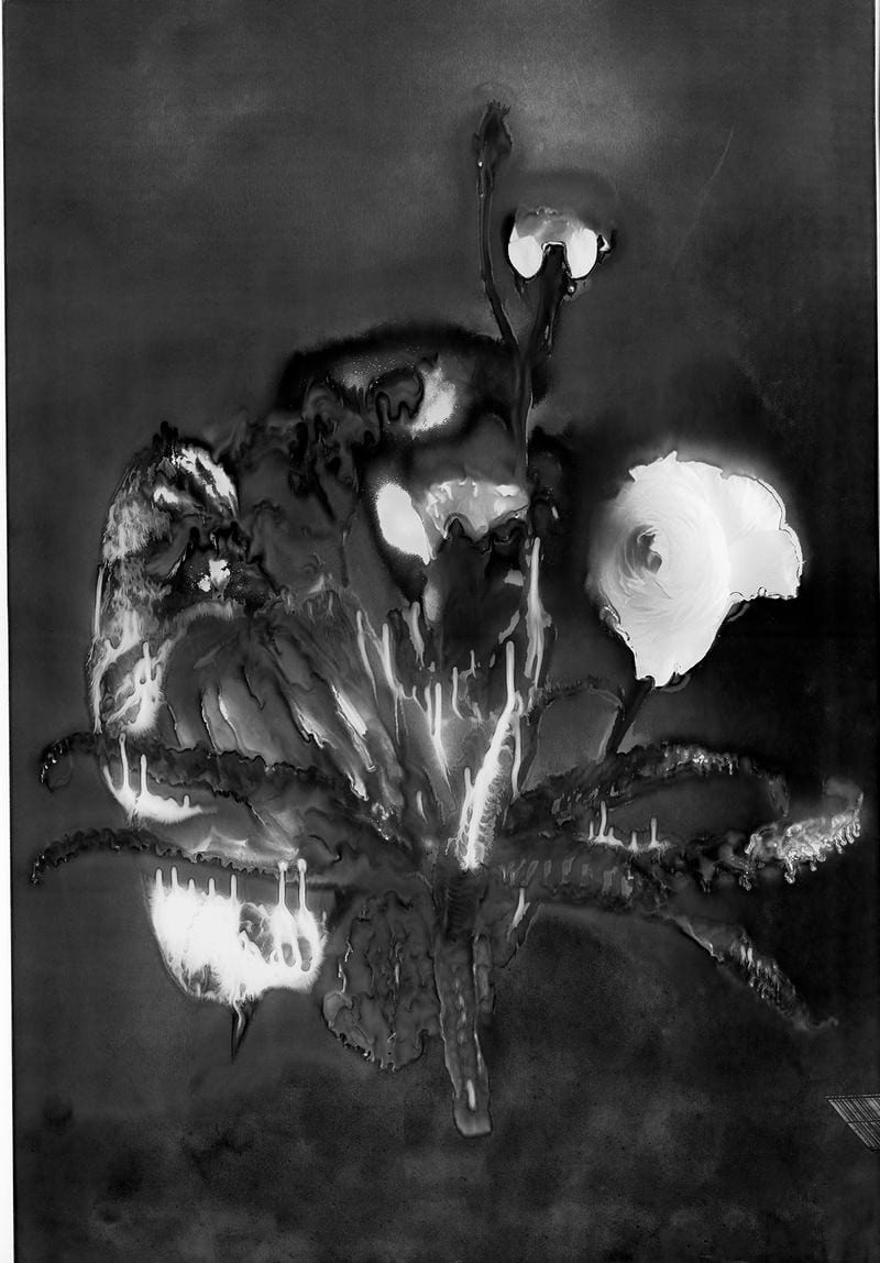 Jefferson Fouquet — portfolio 10
