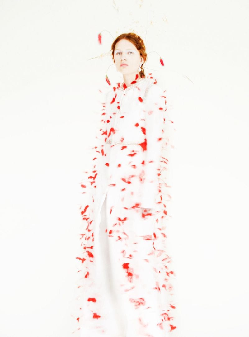 Iggy Jacobsen — photo 3