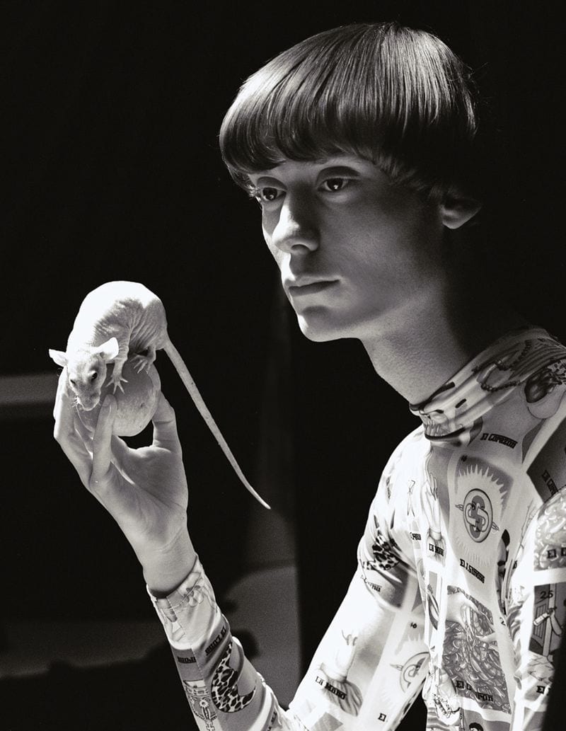 Adrien Cardinaux — photo 7
