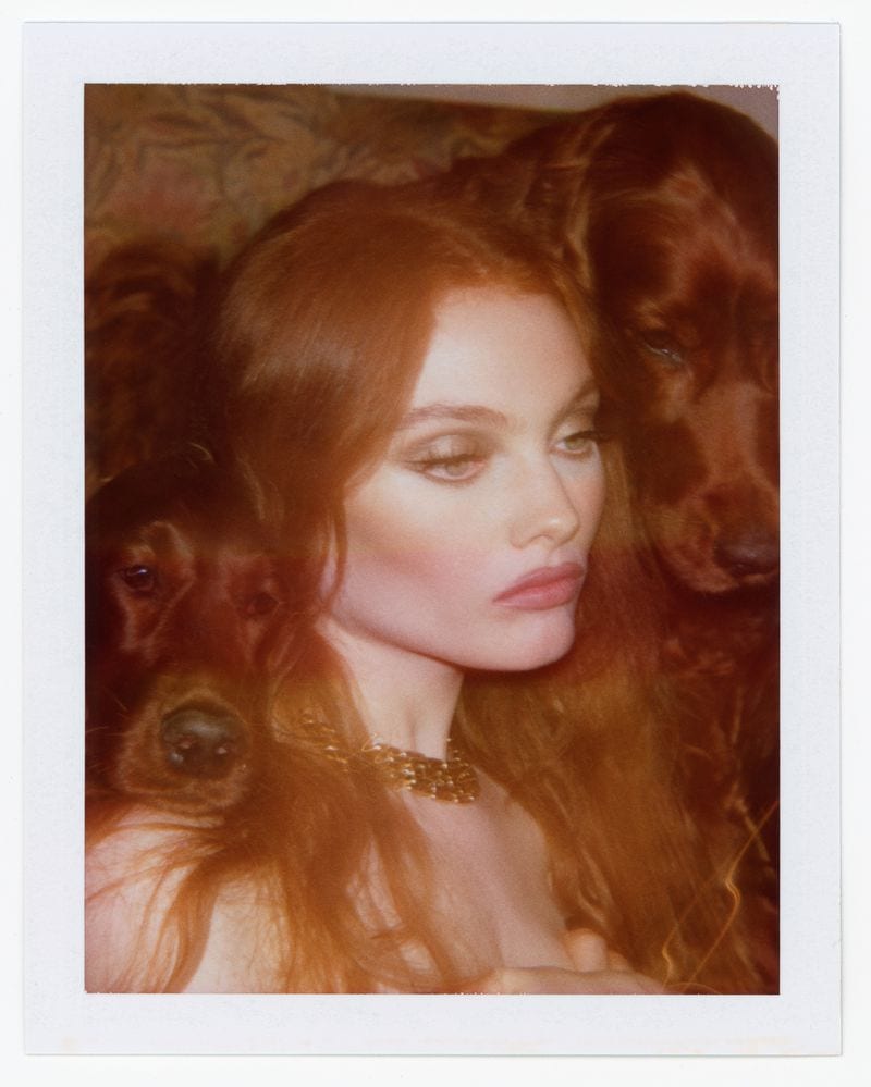 Georgie Hobday — photo 4