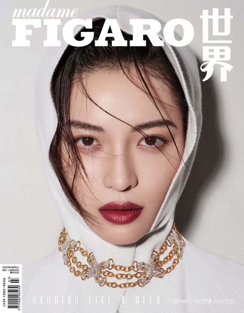Xiao Gang — portfolio 8
