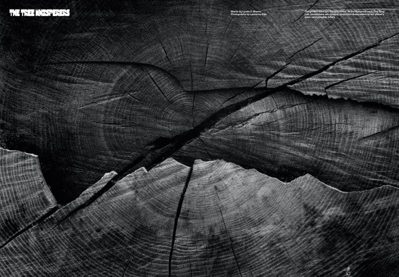Rana Toofanian — portfolio 3