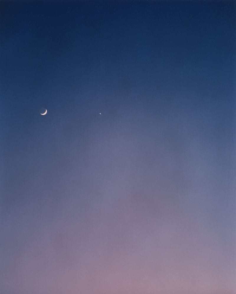 Lola + Pani — portfolio 1