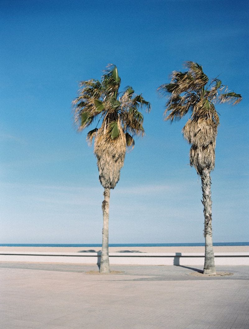 Ezra Patchett — portfolio 9