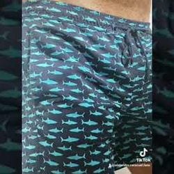 Alejandro Caracuel — photo 9