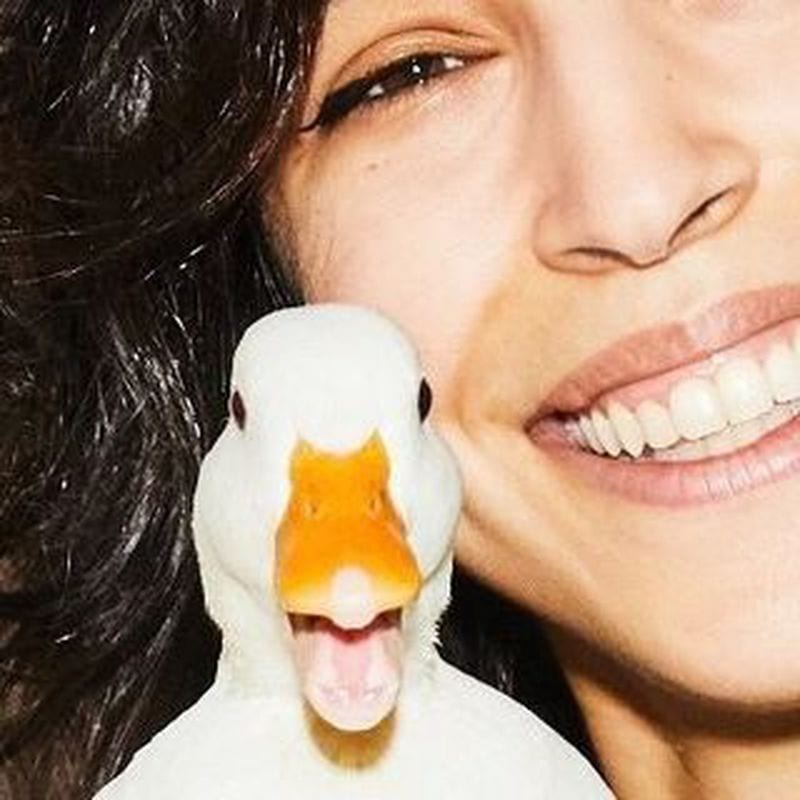 Sonya Belakhlef — портфолио 1