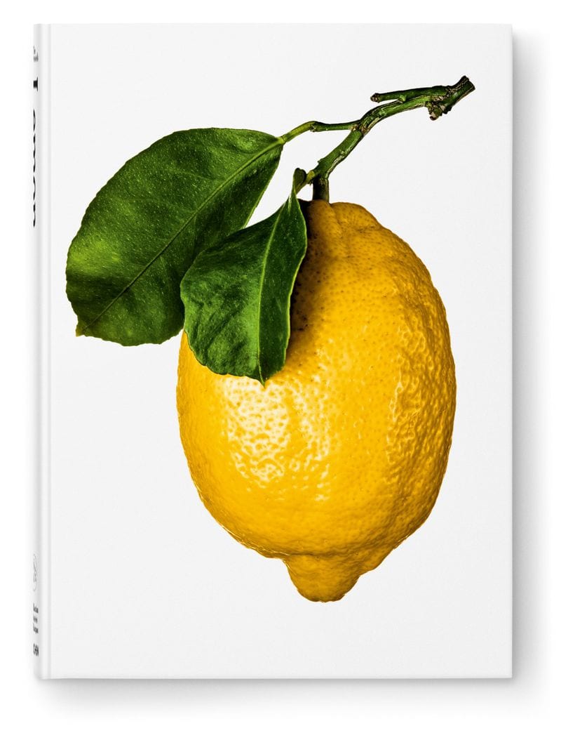 Noemi Bonazzi — portfolio 9