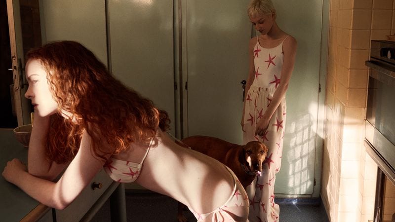 Niamh Maye — photo 2