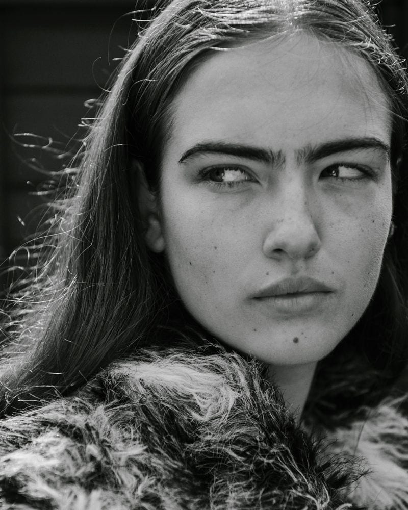 Stella Jones — photo 11
