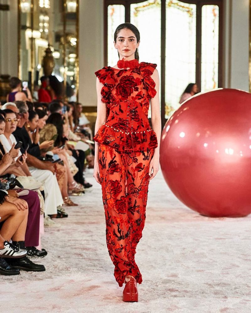 Beatriz Schwan — photo 2