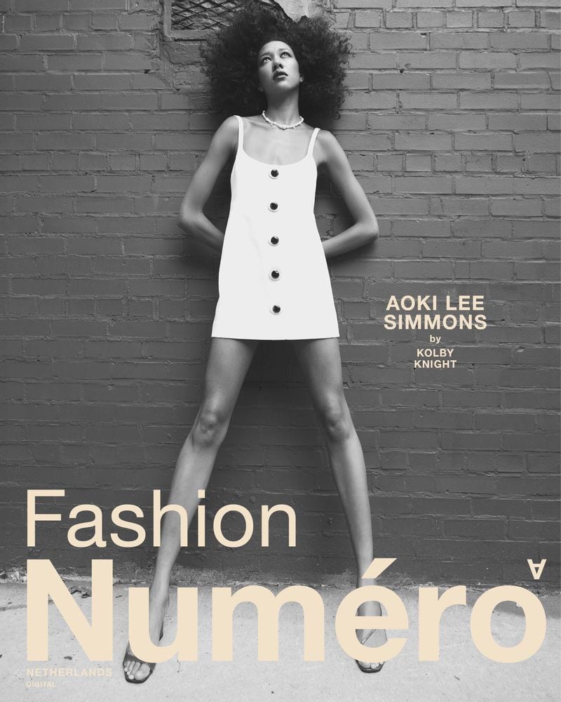 Aoki Lee Simmons — photo 8