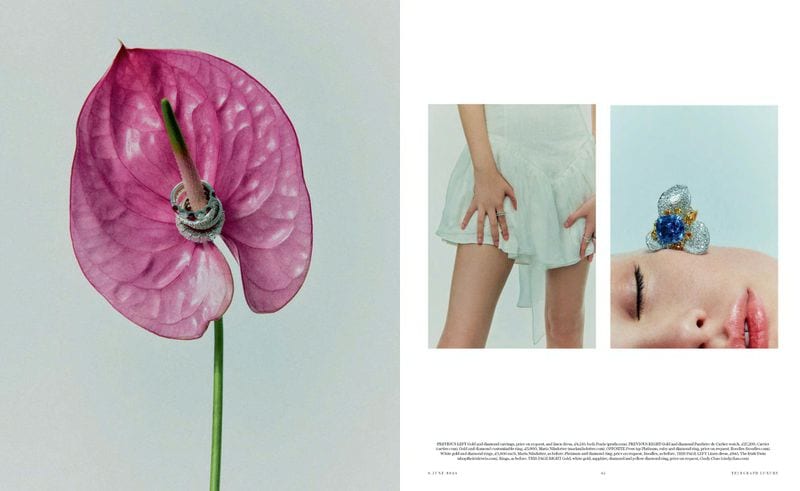 Morgan Porter — photo 4