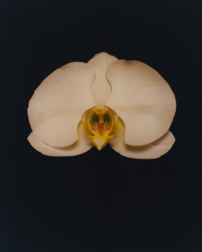 Kobe Wagstaff — portfolio 1