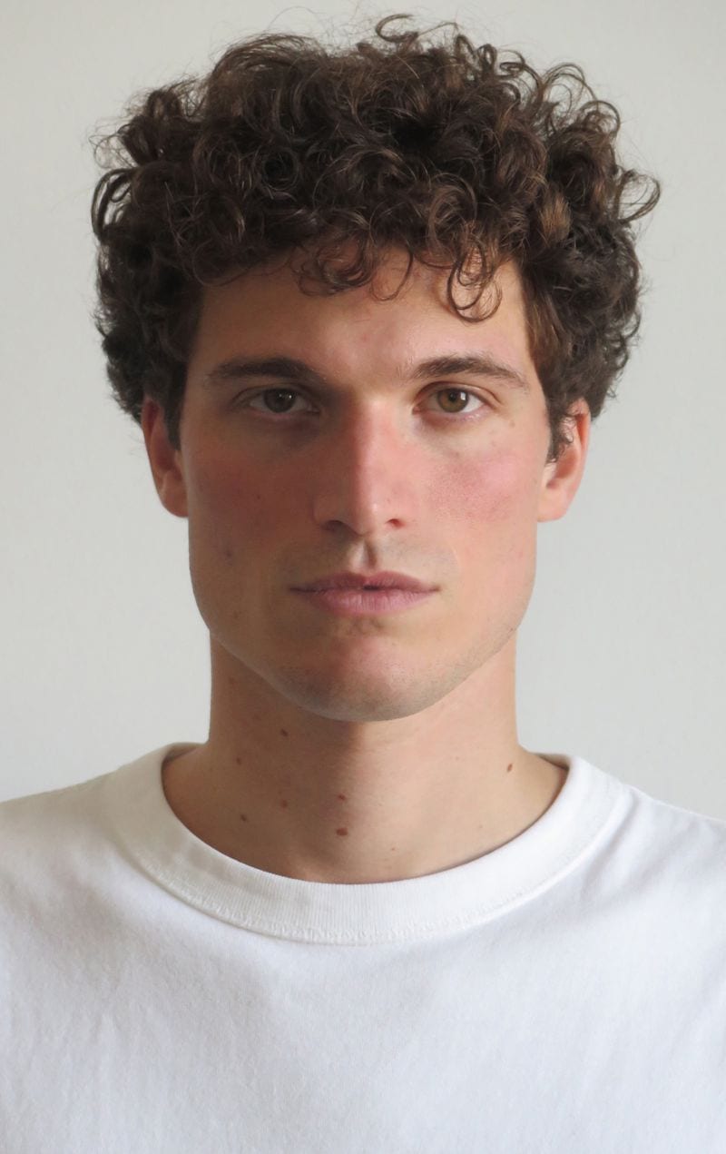 Ludovico Fontanesi — photo 1