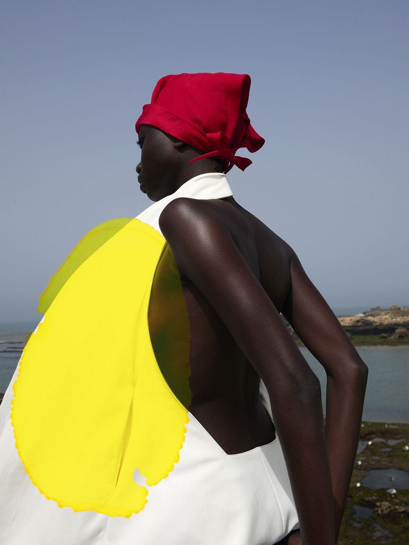 Viviane Sassen — портфолио 8