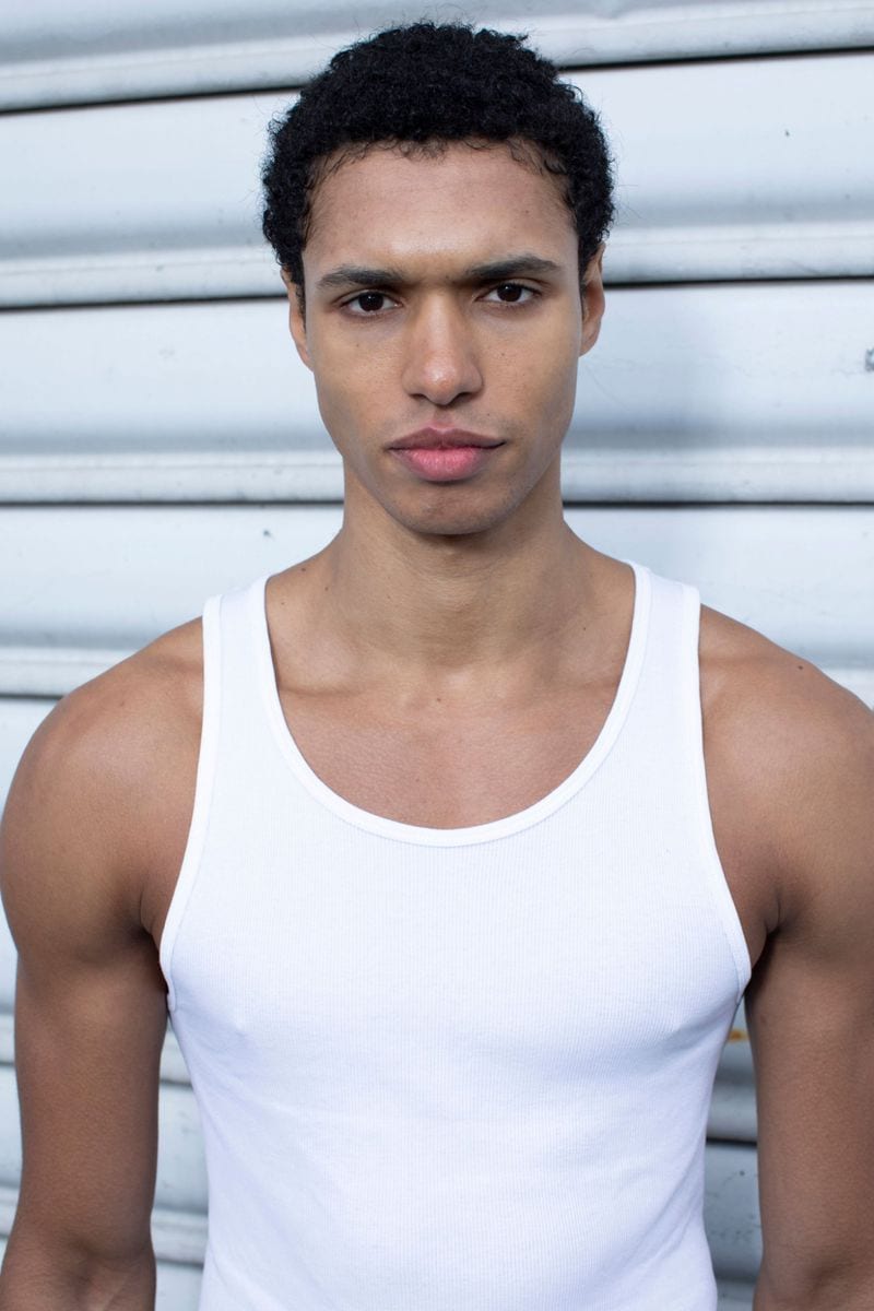 Gilbert Van Damme — photo 1