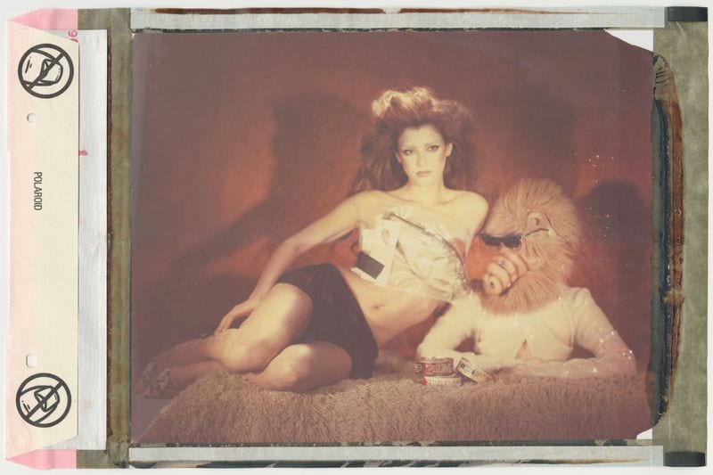 Cameron Postforoosh — portfolio 3