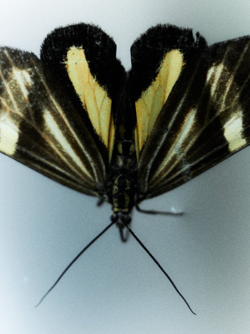 Myrthe Giesbers — portfolio 1