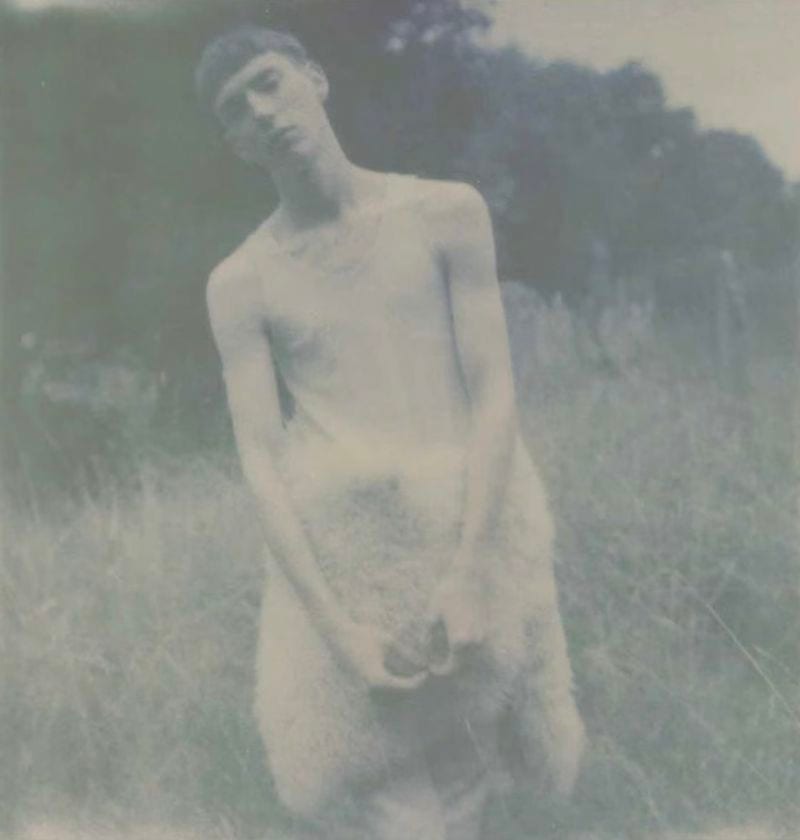 Lukas Grout — photo 2