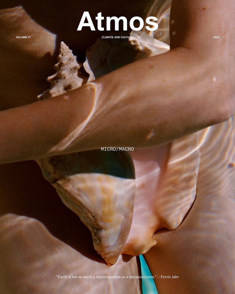 Amy Gwatkin — portfolio 4