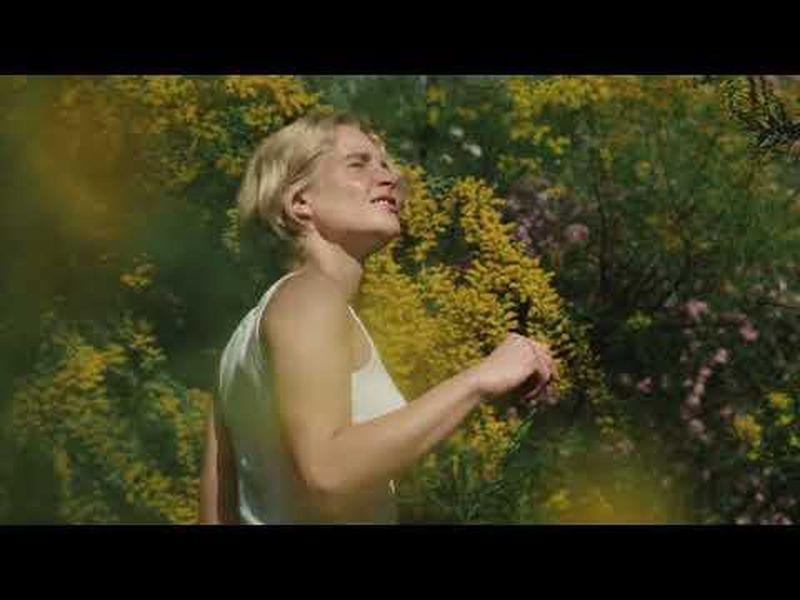 Carlin Brown — portfolio 6