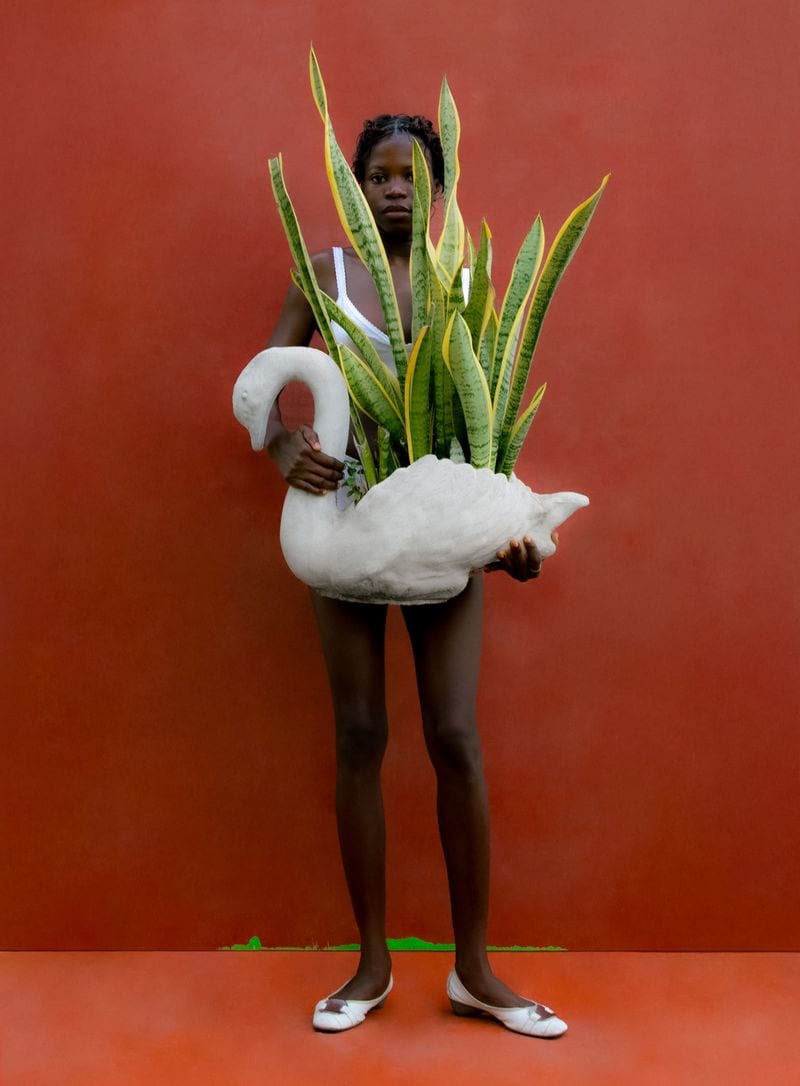 Delali Ayivi — portfolio 2