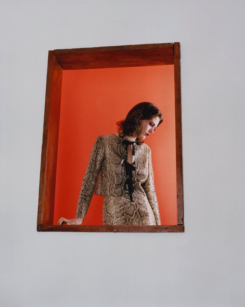 Anna Payne — portfolio 6