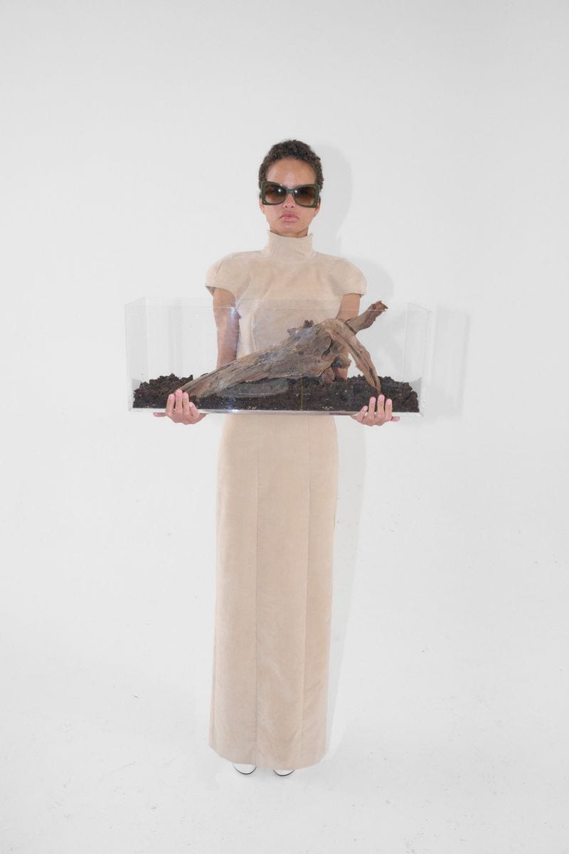 Litza Veloz — photo 3