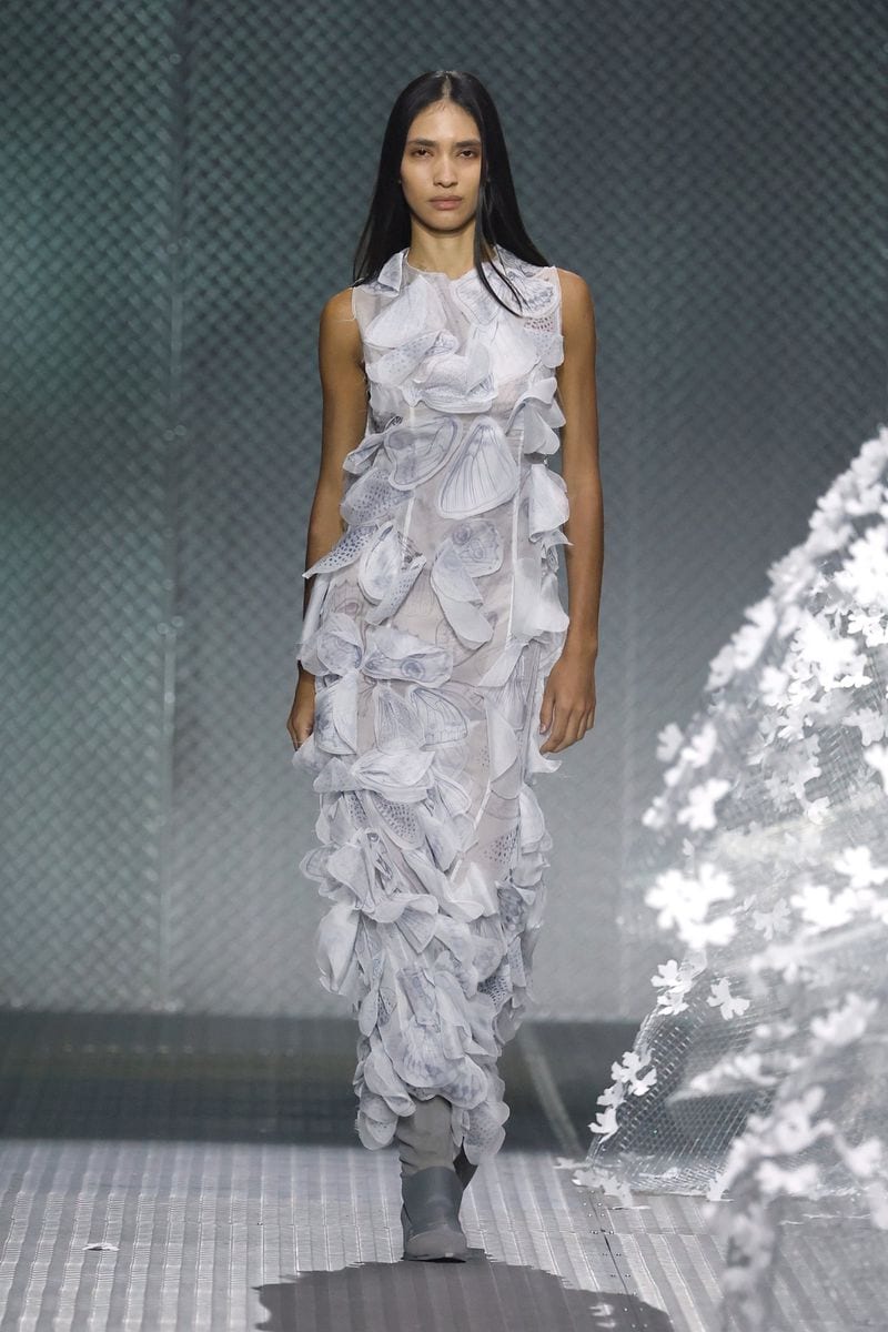 Beatriz Machado — photo 4