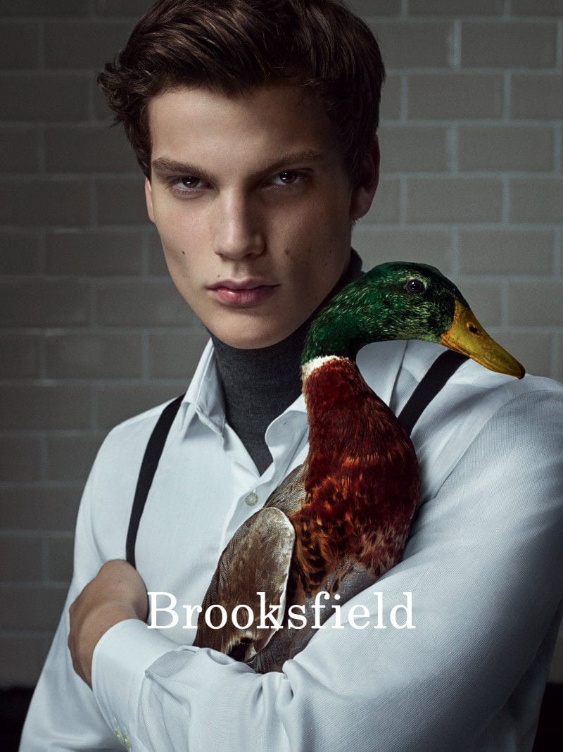 Felix Hermans — photo 4