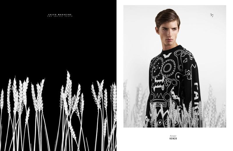 Olli Greb — photo 4