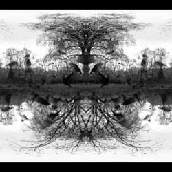 Rhea Le Riche — portfolio 3