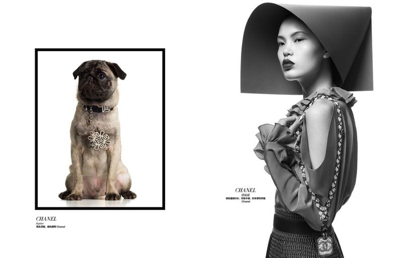 Yudu Zeng — photo 5