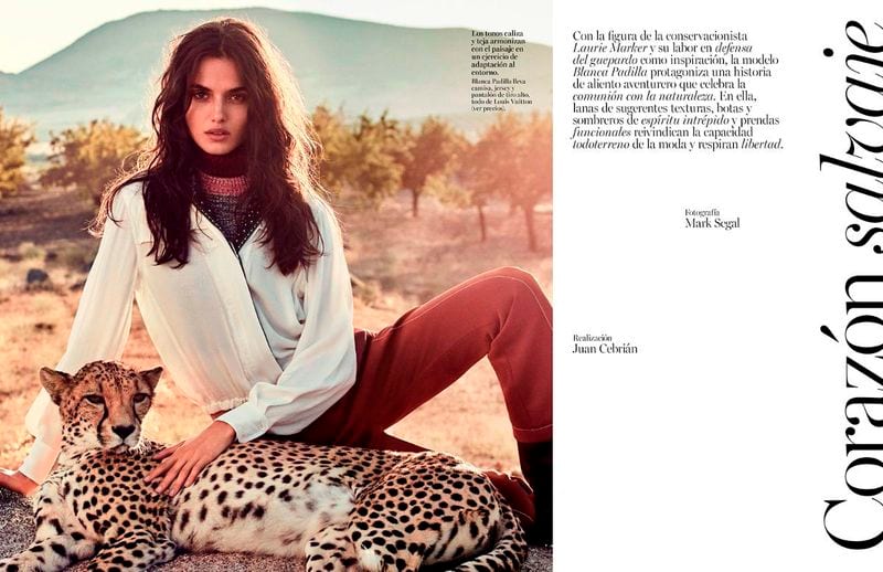 Mark Segal — portfolio 4