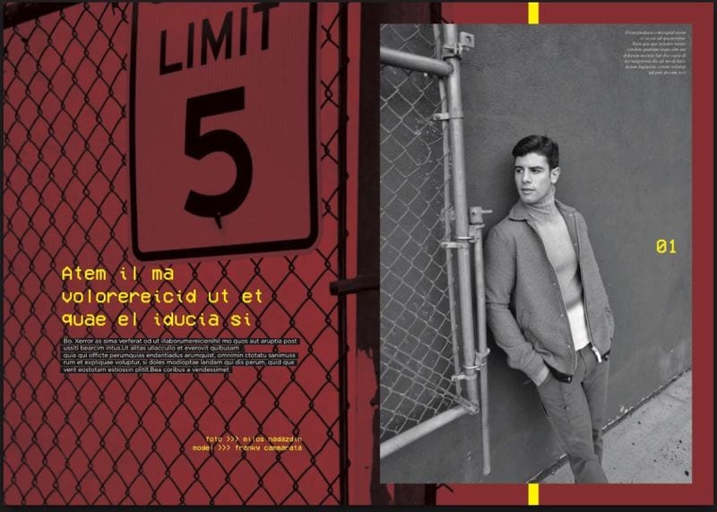 Frankie Cammarata — photo 10