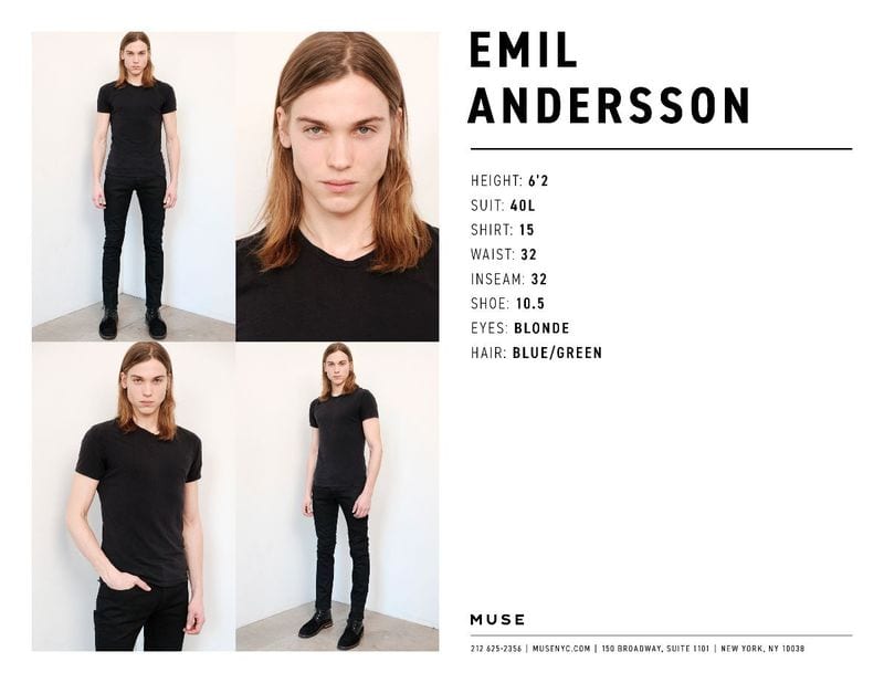 Emil Andersson — photo 4