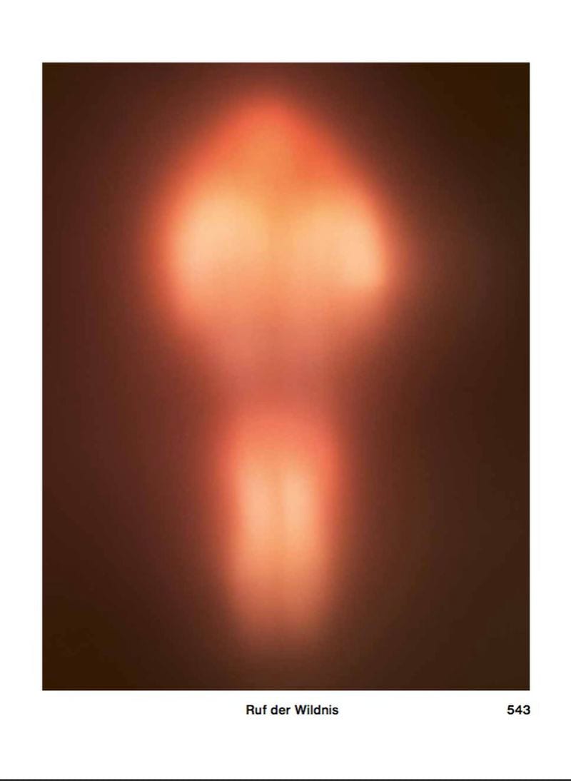 Constantin Schlachter — portfolio 8