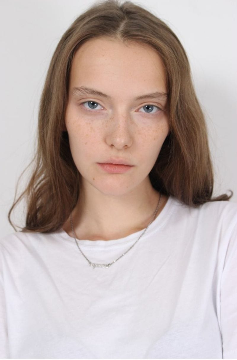 Vovk — photo 1